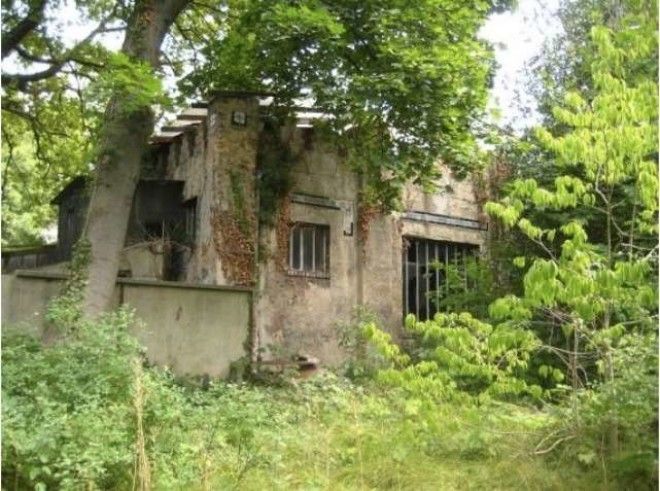 Забытые истории человеческих зоопарков