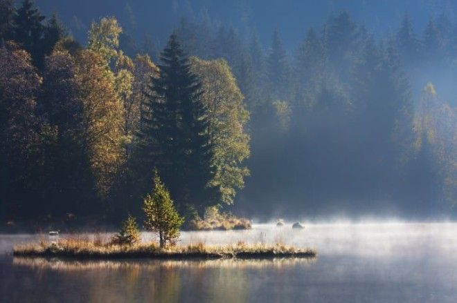 42 убедительные причины никогда не посещать Францию